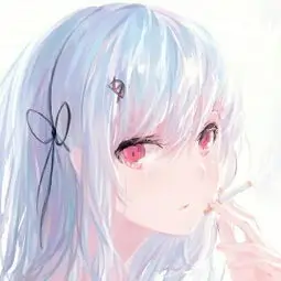 海贼王角色 乔巴